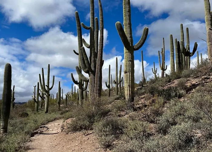 The Tortolita House Holiday home Tucson