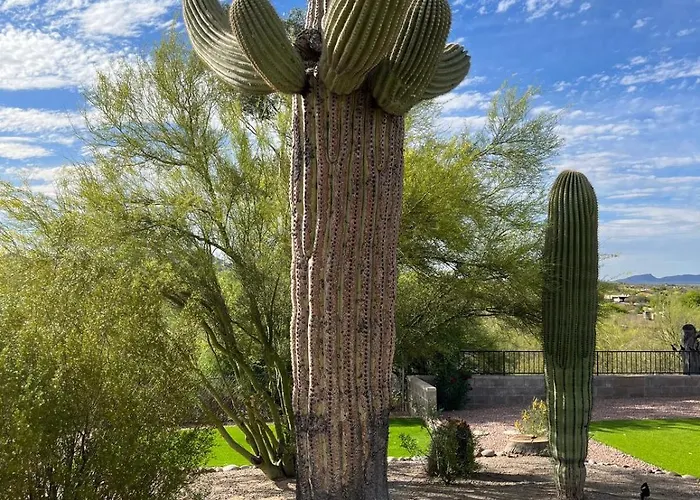 Holiday home The Tortolita House Tucson